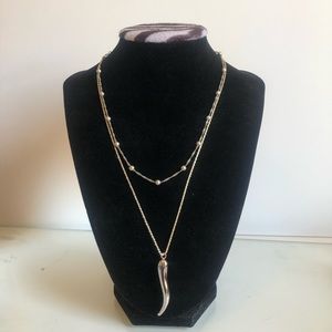 double chain with silver horn pendant 9.25